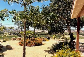 Hilltop Vineyard and Agave Field with View allows 18 year olds to book a room