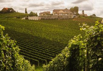Weinrefugium Brolli has Balcony rooms