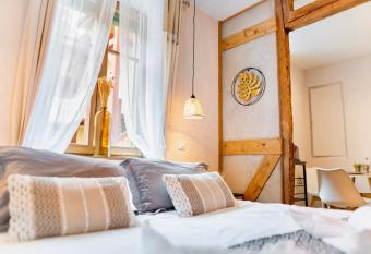 Au Petit Lion, Colmar centre Garage gratuit allows 18 year olds to book a room