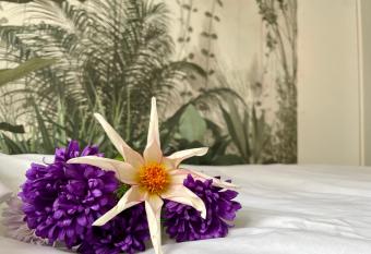 Studio Bielawa u podn    a G  r Sowich allows 18 year olds to book a room