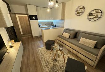 Modern   apartm  n s v  h  adom na Vysok   Tatry has Balcony rooms
