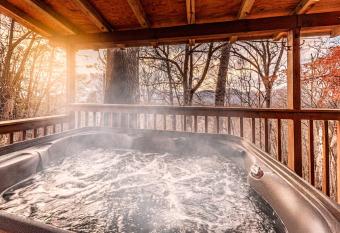 Whiskey Run Cabin, Spectacular Mountain Views has rooms with a private hot tub