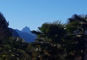 Jardin des Chats has Balcony rooms