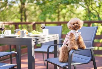                                  Doggy s          has Balcony rooms