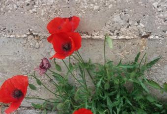 Il 7 e il 13 has Balcony rooms