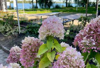 HIDO Hotel has Balcony rooms