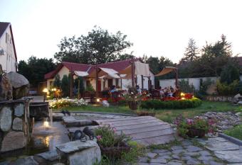 Pensiunea Eden Caransebes has Smoking rooms