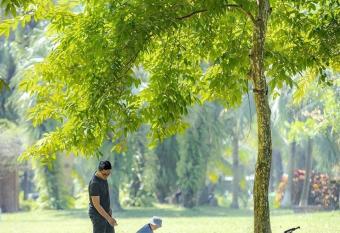 Ecopark Happy Haven has rooms with a private hot tub