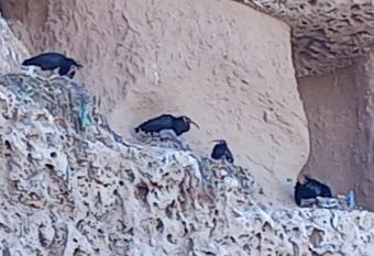 R  sidence Fanti has Balcony rooms