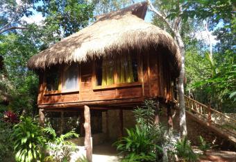 Casa Mango has Balcony rooms