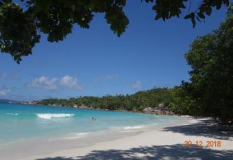 Forest Lodge has Balcony rooms
