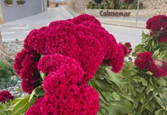 Honey Studio allows 18 year olds to book a room