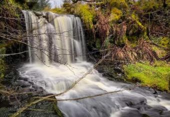 Glenariff Forest Getaway has rooms with a private hot tub