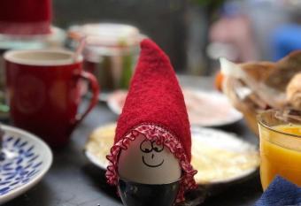 Hotel Hanzestadslogement De Leeuw in het centrum, Snoepwinkel, Hanzemuseum, Koffieschenkerij met Binnenplaats, Kamers met keukentje en Ontbijtservice allows 18 year olds to book a room