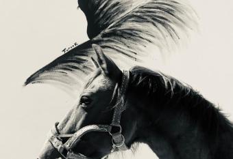 G  tes Equestres Lou Caloun - Les Saintes Maries de la Mer has Balcony rooms