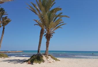 Ltifi Villas Djerba has Balcony rooms