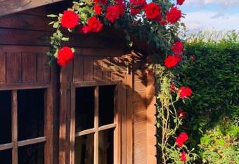 Una piacevole oasi di benessere nei vostri viaggi has Balcony rooms
