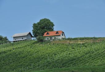 Vineyard Cottage Zdolsek has Balcony rooms