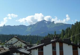 Ferienwohnung Murschetg has Balcony rooms