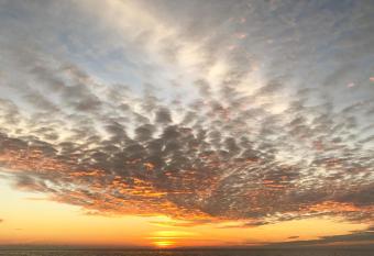 Court Cottages has Balcony rooms