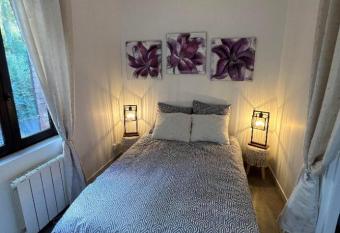 T2 proche gare avec wifi 1er   tage has Balcony rooms