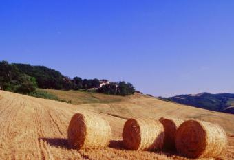 Agriturismo Il Fienile di C   Battista has Balcony rooms