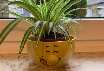 Ferienwohnung R  der allows 18 year olds to book a room