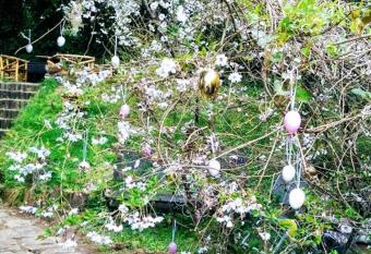 Ferienwohnungen Willrich has Balcony rooms