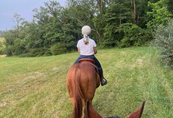 Ultimate Horse Experience has Balcony rooms