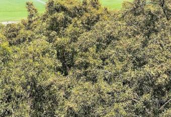 1 Bed Apartment @ Jackal Creek Golf Estate has rooms with a private hot tub