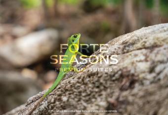 Scandi Home - Enclave Nature Suites has Balcony rooms