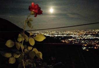 Casa Luisa has Balcony rooms