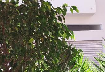 Airport mohamed 5 break apartments has Balcony rooms