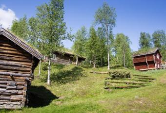 Active Group Apartment, Dagali Fjellpark has Balcony rooms