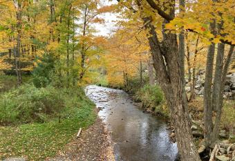 Picturesque Riverside Cabin with Fireplace and Porch has Balcony rooms