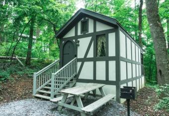 Tiny Home Cottage Near the Smokies #5 Fleur allows 18 year olds to book a room