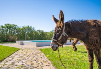 Burro Ville by Host Wise has Balcony rooms