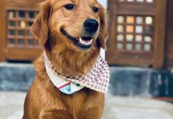 Pasne Aajako Hotel has Balcony rooms