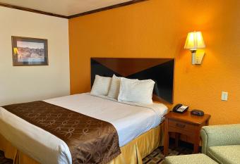 Green bird Inn allows 18 year olds to book a room