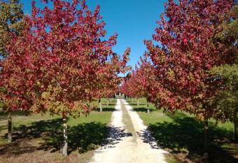 Korbaylen Estate allows 18 year olds to book a room