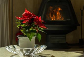 Amuse 545 has Balcony rooms