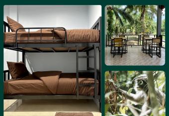 Evergreen Guest House has Balcony rooms