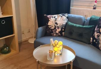 Studio KAAN avec terrasse 5mn Basel Airport has Balcony rooms