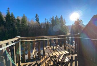 Le Chalet du Hohwald has Balcony rooms