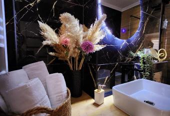 Apartament ASB Oradea allows 18 year olds to book a room