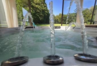 Les Mazeraies maison d h  tes avec spa has Balcony rooms