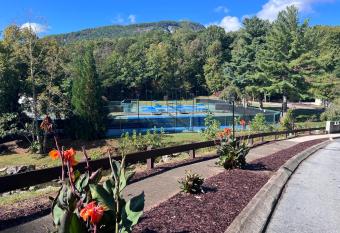 Apple Valley Villa 22 has rooms with a private hot tub