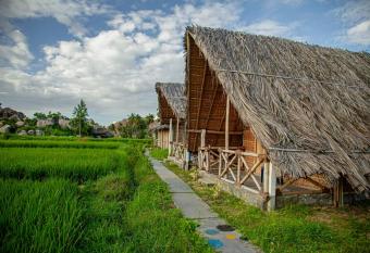Hampiness hostel (om home hampi) allows 18 year olds to book a room