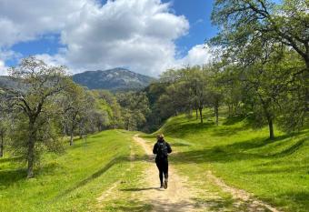 Modern Cabin, Near Snow Park, 3.5 Miles to SNP! has Balcony rooms