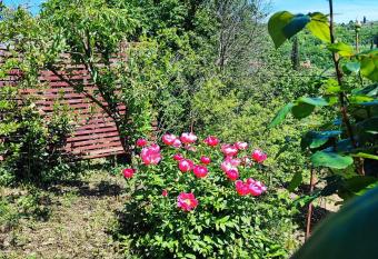 Apartment Julijana has Balcony rooms